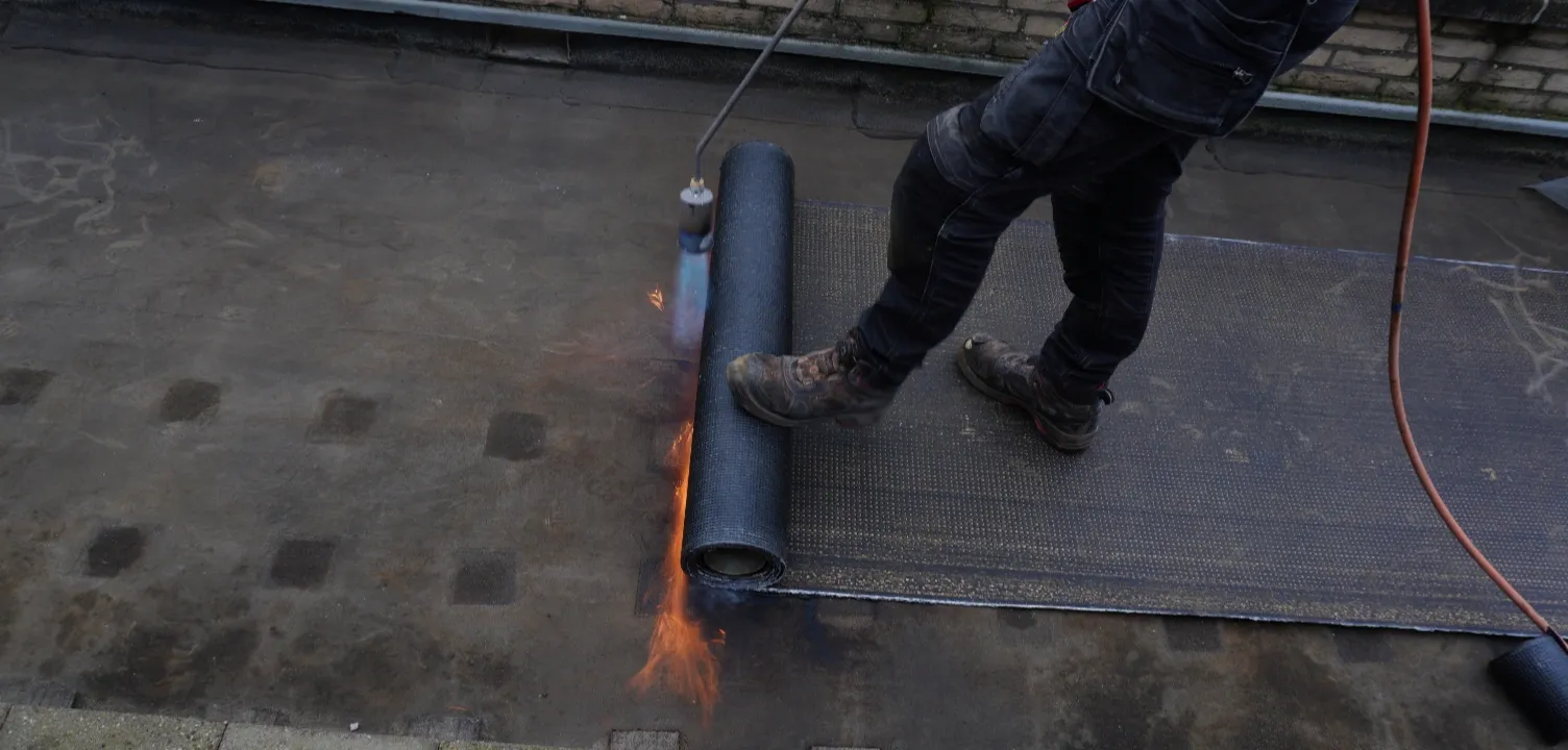 Project image 3