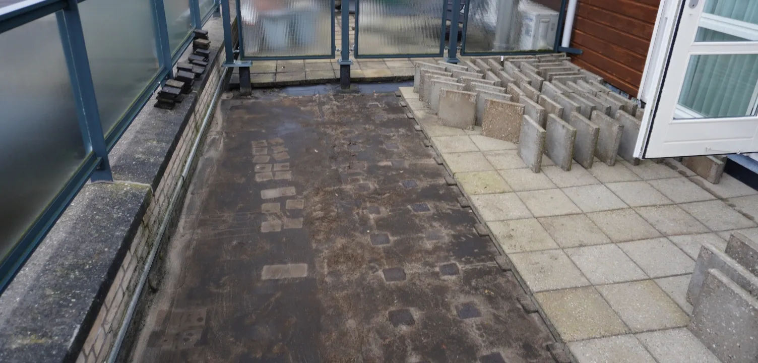 Project image 5